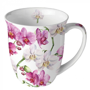 elegant orchids mok elegant orchids mok